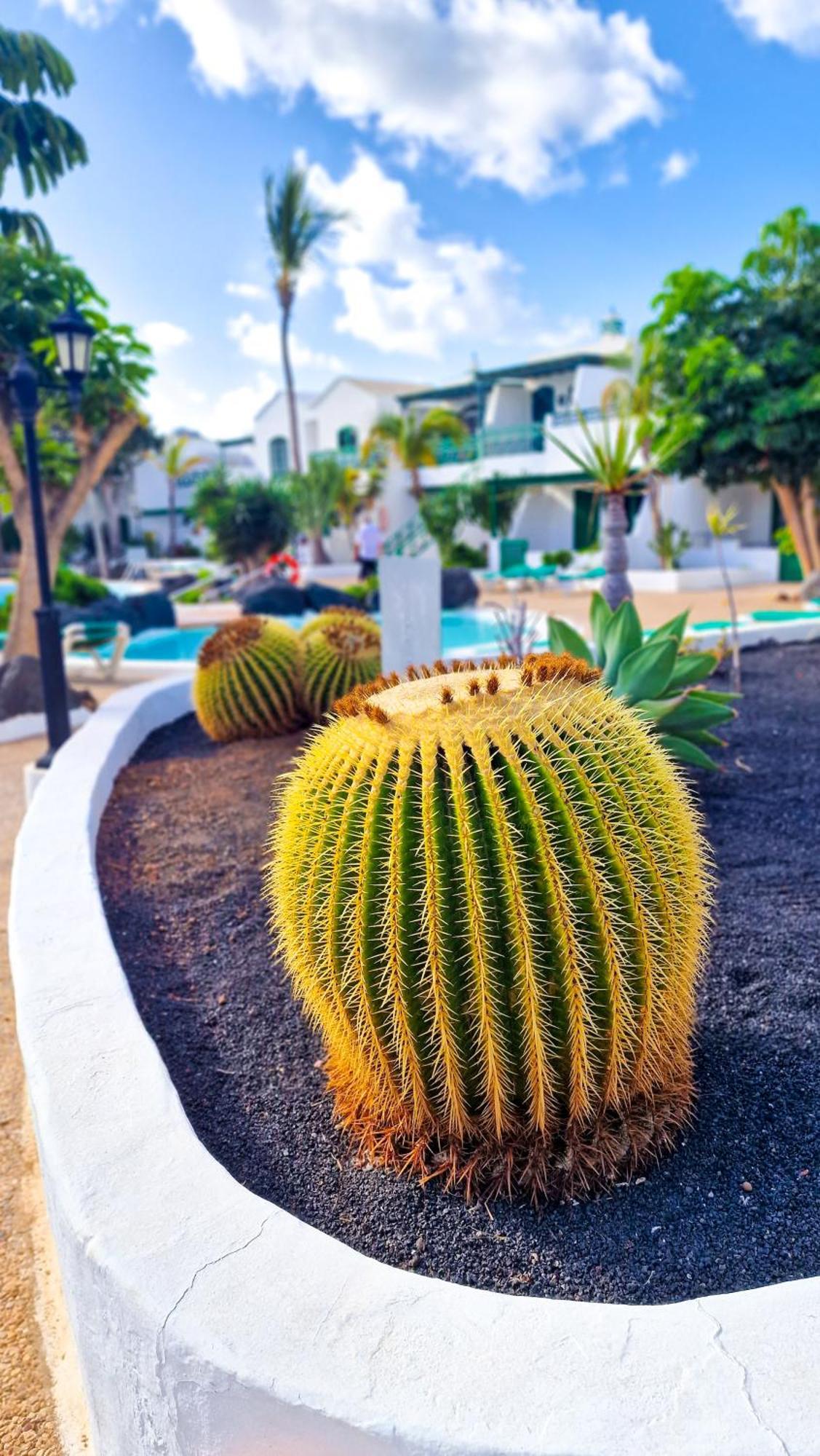 Appartamento Un capricho Puerto del Carmen  Esterno foto